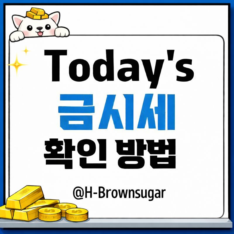 오늘의 금시세